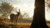 TheHunter: Call of the Wild - Gameplay Trailer